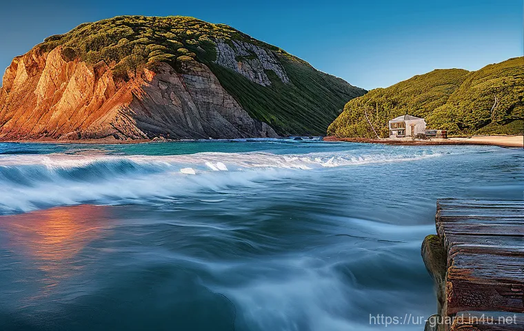 경비지도사 자격증으로 전문성 높이기 - The search results confirm the importance of security guard instructors, the types of training they ...